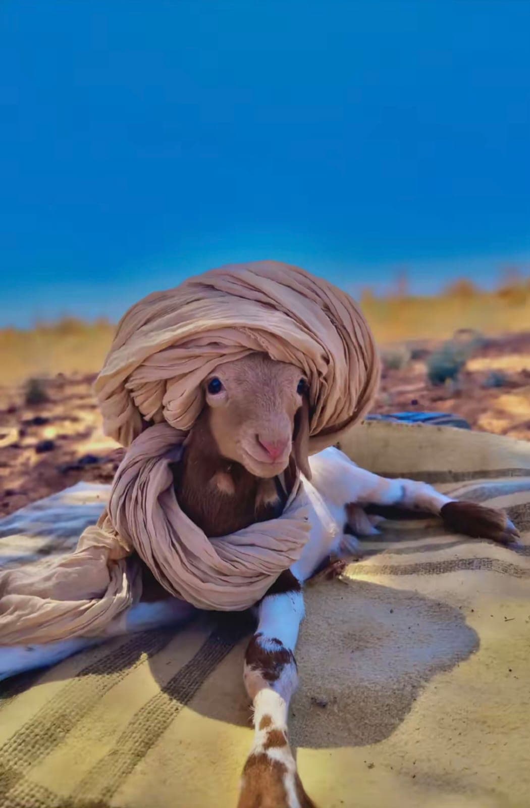 3-Day Sahara Desert Tour from Marrakech